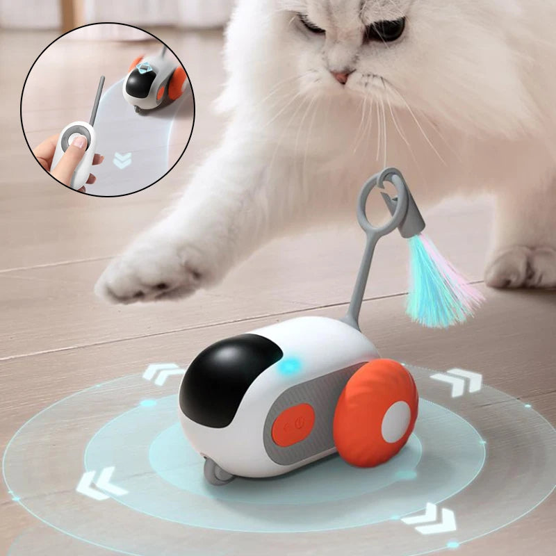 A small car-shaped remote control cat toy designed to move and dart across the floor, shown with its USB charging cable.
