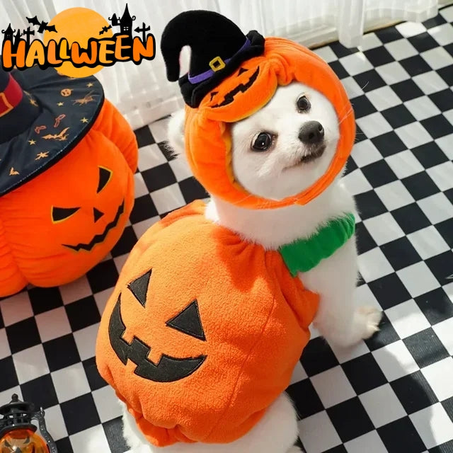 Halloween Pumpkin Costume Set for Small Dogs & Cats (Vest + Witch Hat, Size M)