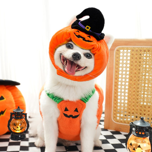 Halloween Pumpkin Costume Set for Small Dogs & Cats (Vest + Witch Hat, Size M)