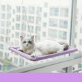 A cat window perch hammock with a metal frame and suction cups mounted to a glass window, holding a cushioned pad for a cat to lie on.
