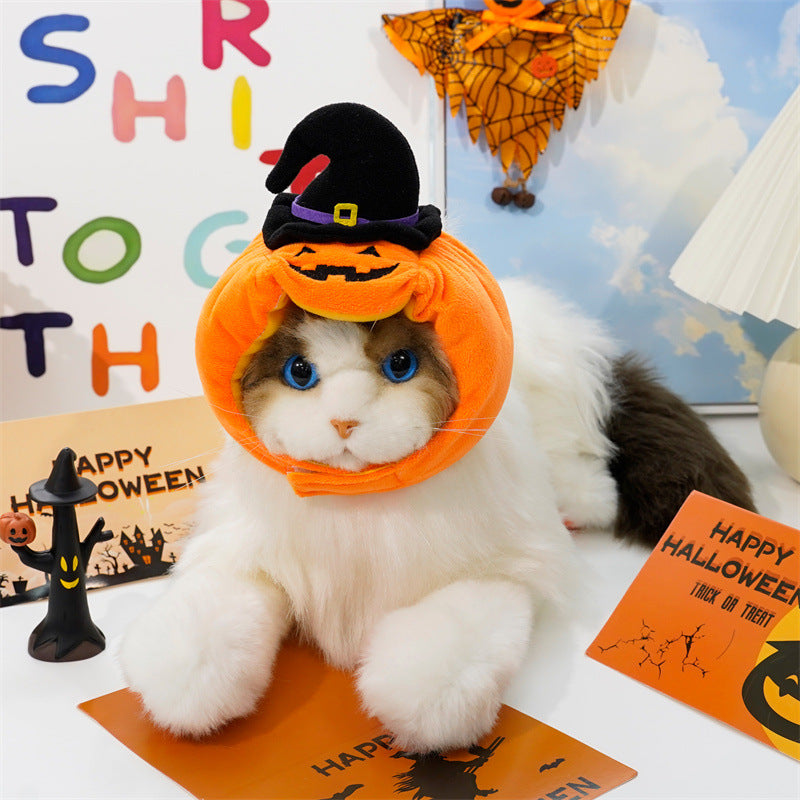 Halloween Pumpkin Costume Set for Small Dogs & Cats (Vest + Witch Hat, Size M)