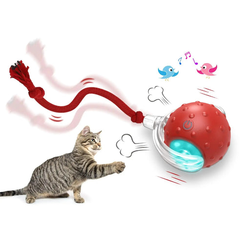 A round, textured electronic cat toy ball designed to roll and change direction automatically for solo play.